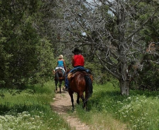 cabalgando por el bosque